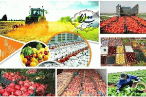 آشنایی با مجوز قرنطینه نباتی