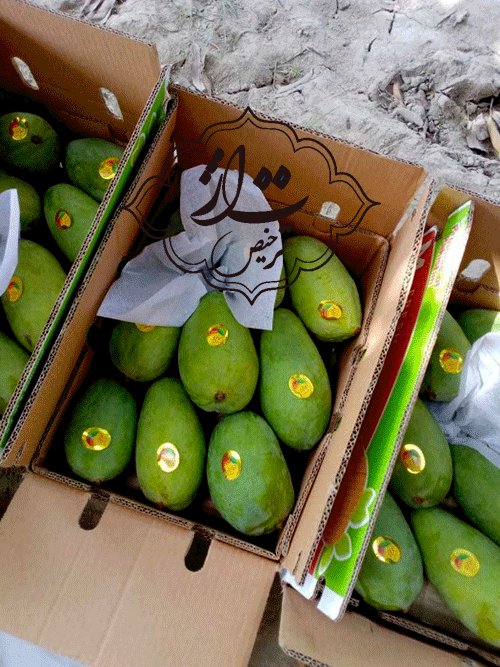 بررسی واردات از پاکستان