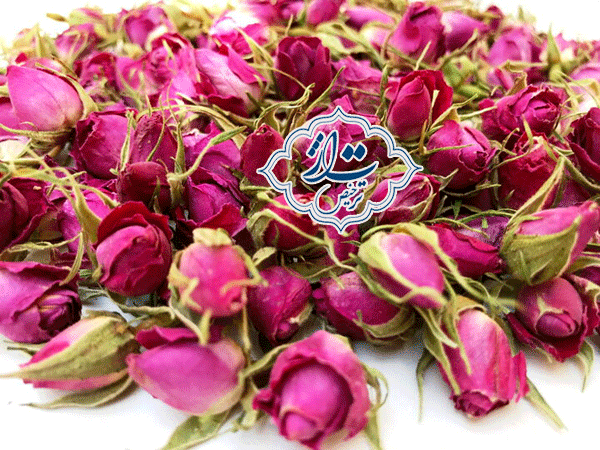 صادرات گلاب و عرقیجات